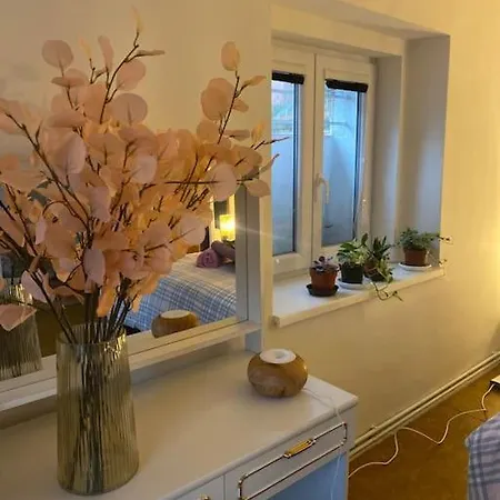 Apartman Flat In The House & Dog Friendly *