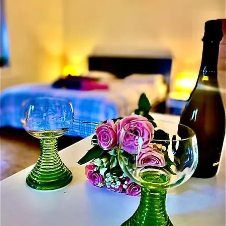 Apartment Flat In The House & Dog Friendly Prag