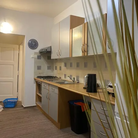Flat In The House & Dog Friendly Prag