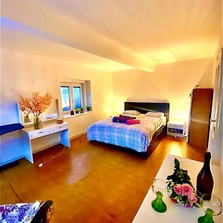 Flat In The House & Dog Friendly براغ