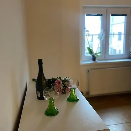 Flat In The House & Dog Friendly شقة براغ