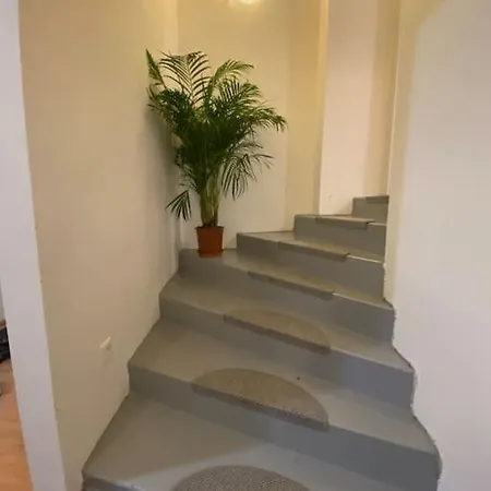 Flat In The House & Dog Friendly * براغ