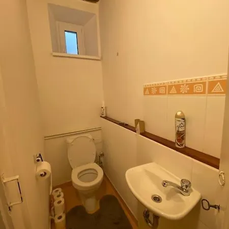 Flat In The House & Dog Friendly شقة براغ