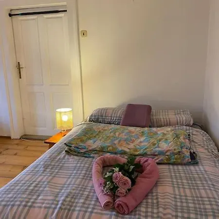 Flat In The House & Dog Friendly براغ