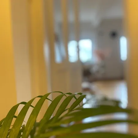 Flat In The House & Dog Friendly شقة